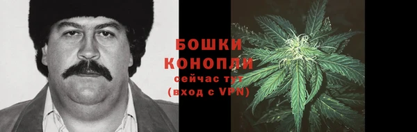 PSILOCYBIN Алексин