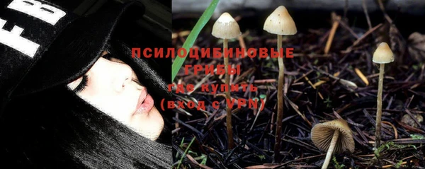 бутират Алексеевка
